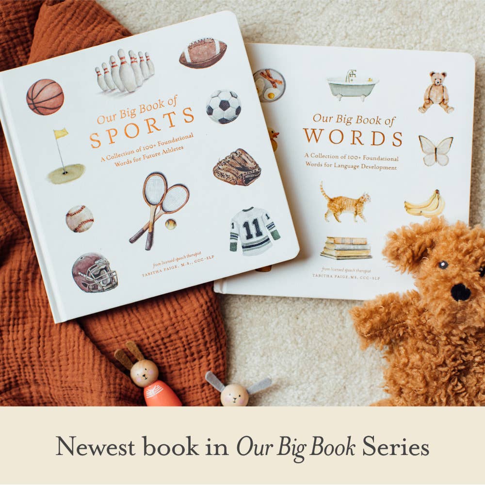our big book of sports