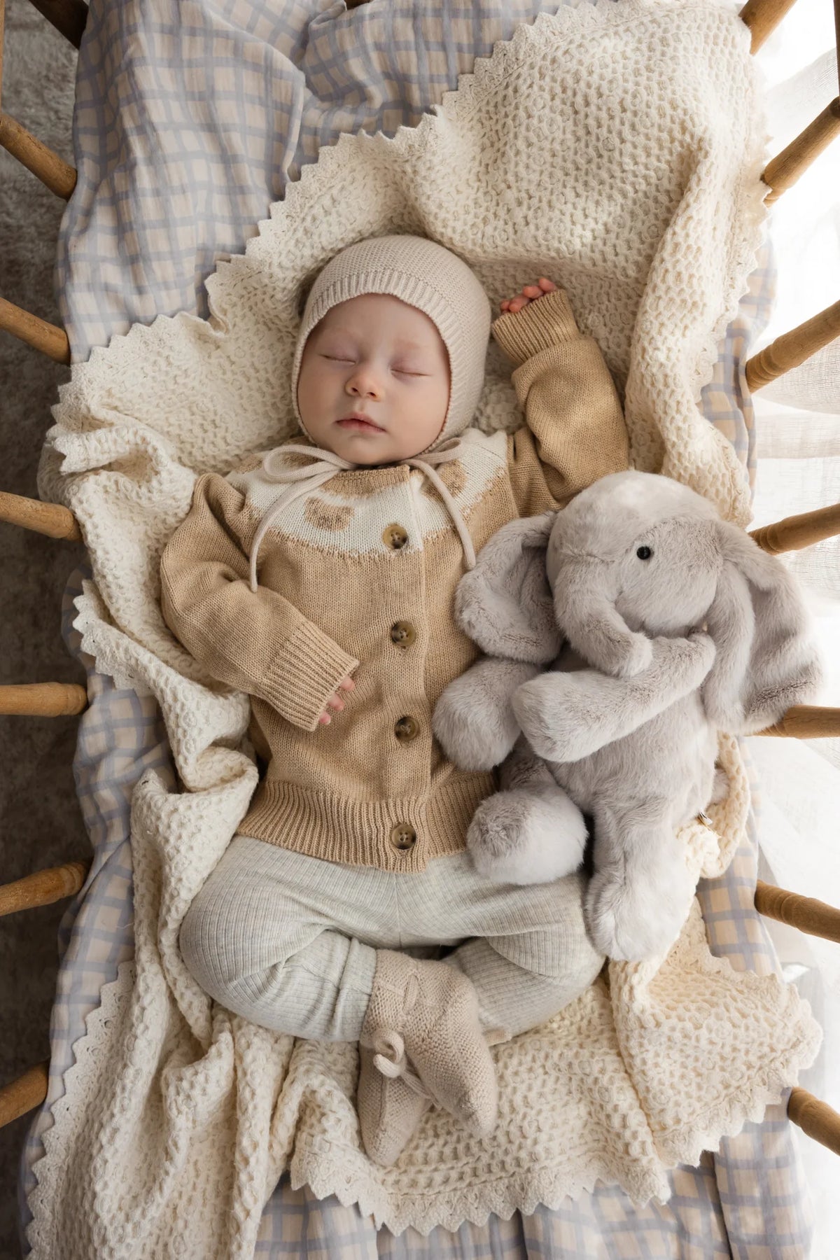 olive the elephant