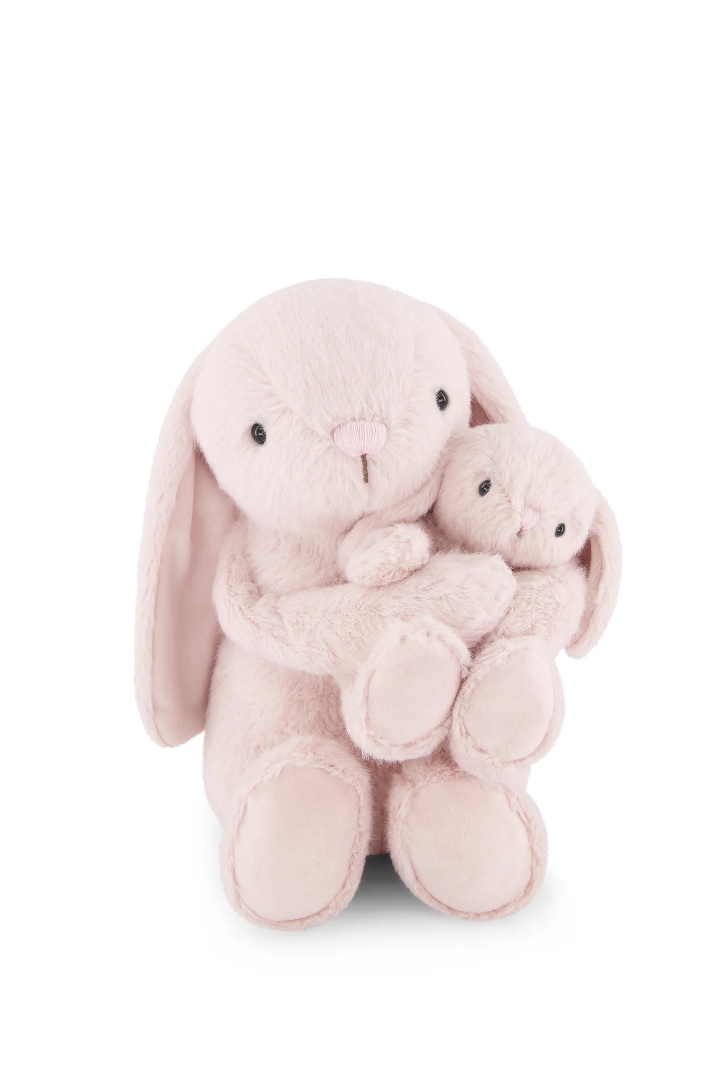 frankie the hugging bunny