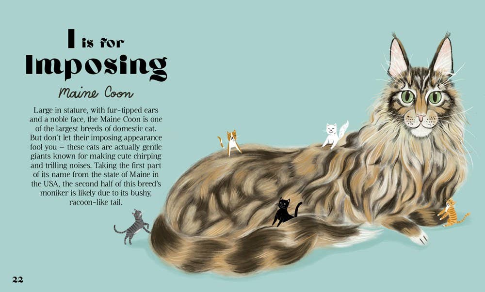 Catphabet