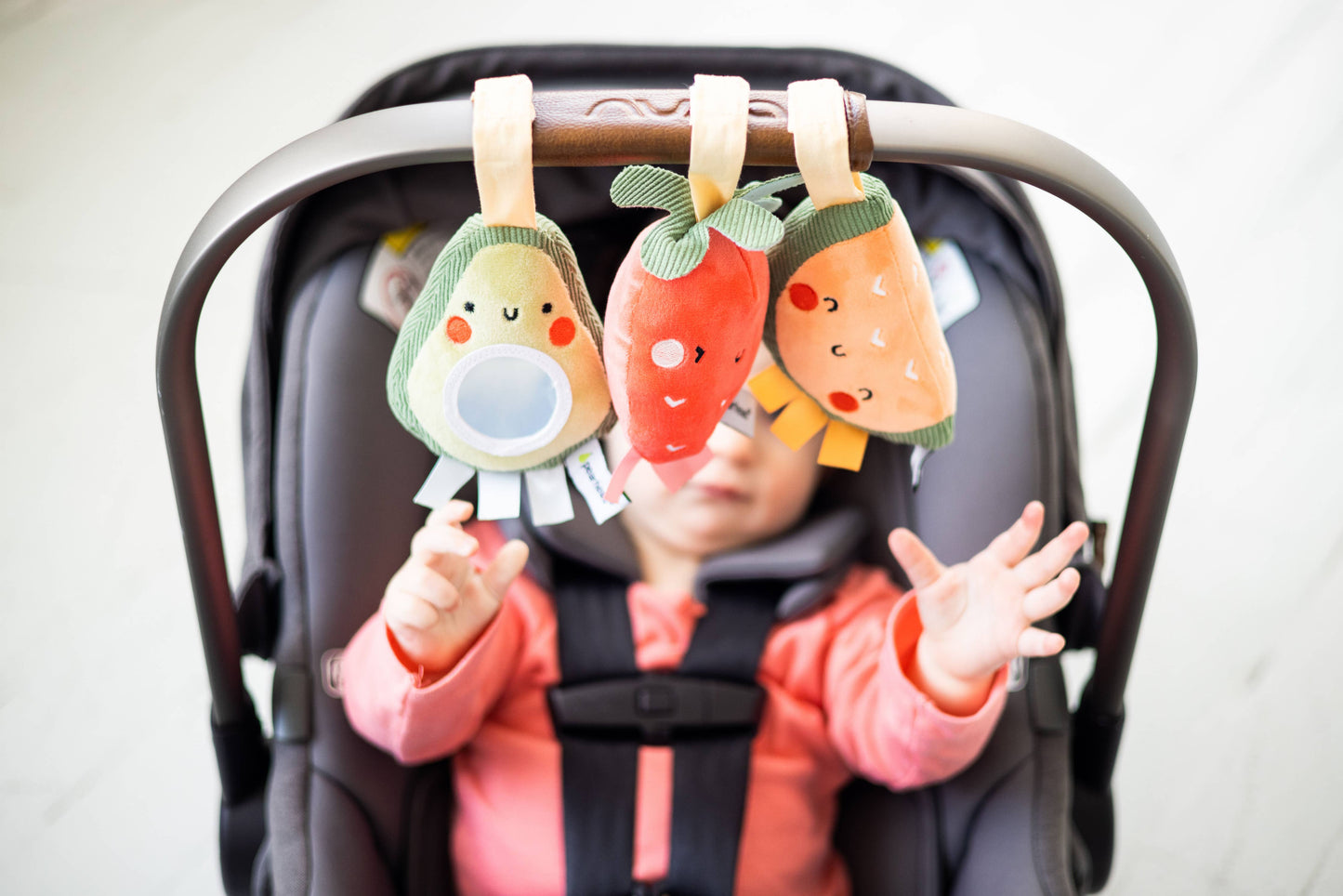 fruit stroller toy set