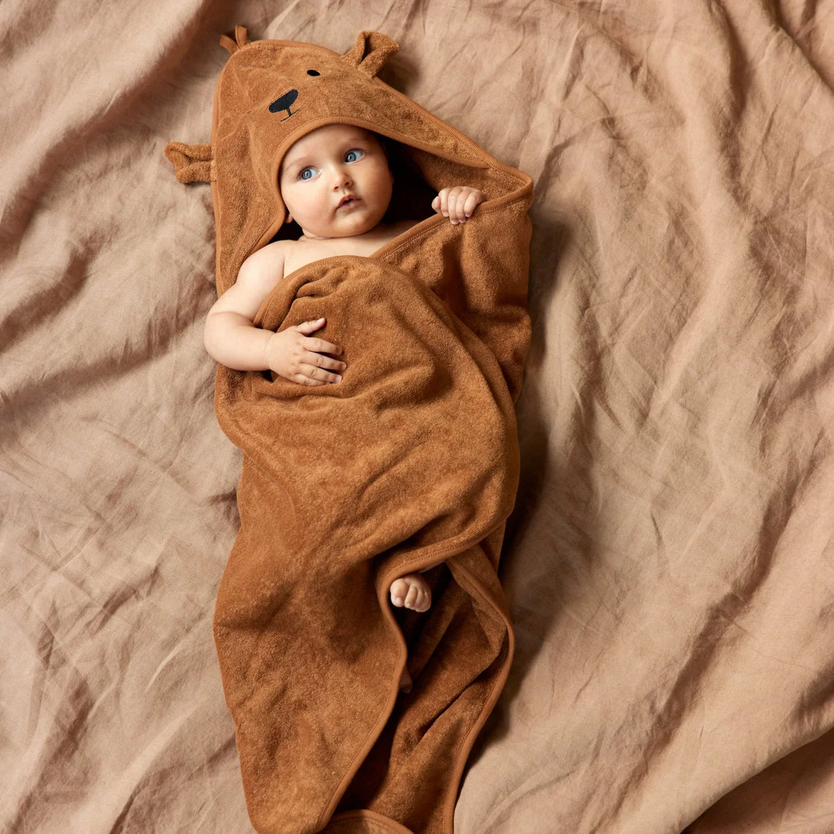 bear hooded towel