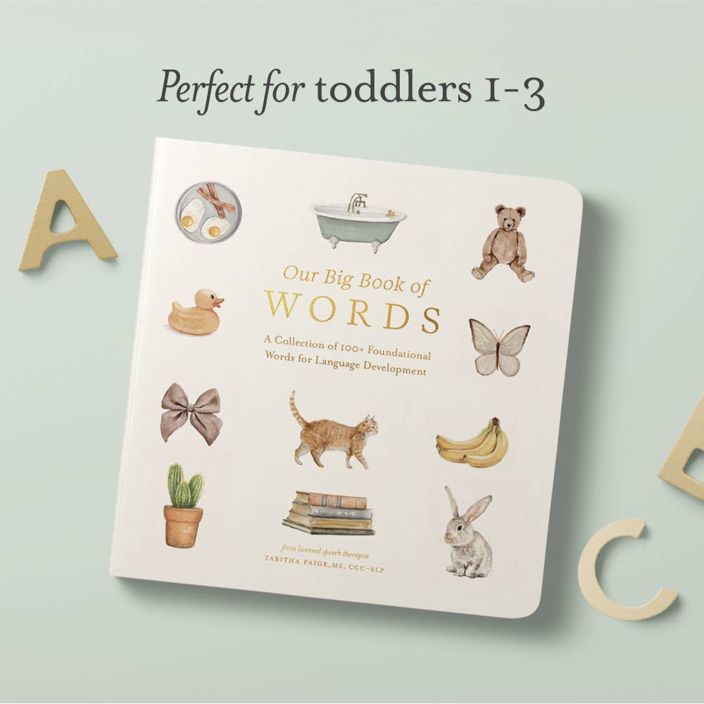 our big book of words
